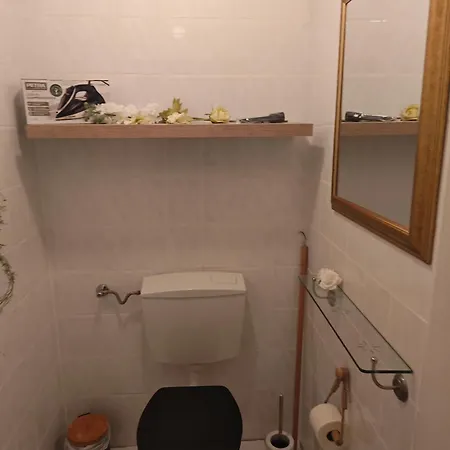 Apartment Exklusives In Für 6 Personen Mit Dachterasse Und Wintergarten Geilenkirchen