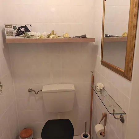 Exklusives In Für 6 Personen Mit Dachterasse Und Wintergarten Apartment